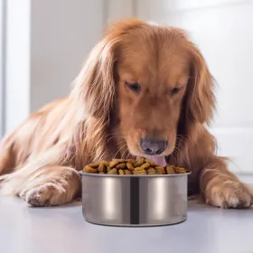 Stainless Steel Dog Bowl Pets Hanging Food Bowl Detachable Pet Cage Food Water Bowl With Clamp Holder (Option: L)